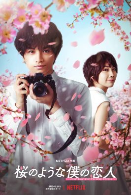 中島健人×松本穂香共演！ Netflix映画『桜のような僕の恋人』キービジュアル＆追加キャスト公開