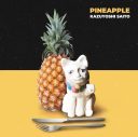 斉藤和義、30周年のキックオフとなるニューアルバム『PINEAPPLE』の詳細発表 - 画像一覧（1/5）