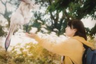 DREAMS COME TRUE、映画『カミノフデ ～怪獣たちのいる島～』主題歌を書き下ろし！ 特報も公開 - 画像一覧（1/3）