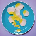 Conton Candy、バンド結成記念日に新曲「花びらと生活音」を配信リリース - 画像一覧（1/2）