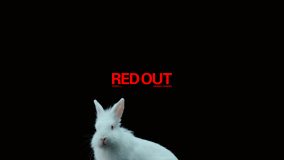 米津玄師、Spotify ブランド CMソング「RED OUT」のMV公開＆音源の先行配信も開始