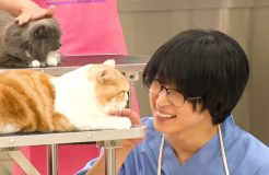 Snow Man佐久間大介、“黒髪＆メガネ”で動物専門学校に潜入！ねこちゃんに囲まれる「佐久間バイキング」も