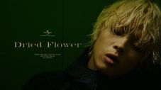 imase、新曲「Dried Flower」MV公開！「今にも殴りかかってきそうなimase君のあらたな一面をお楽しみください」（監督談） - 画像一覧（2/7）