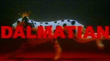 PEOPLE 1、新曲「DALMATIAN」をゲリラ配信リリース！クリスマス恒例MVサプライズ公開 - 画像一覧（2/4）