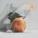 Da-iCE「CITRUS」ストリーミング全世界累計再生回数5億回突破 - 画像一覧（1/2）