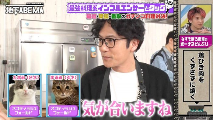 稲垣、草なぎ、香取が7年半ぶりにガチンコ料理対決 ！ 対決を忘れ“猫トーク”で「ここだけEテレ感」