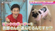 稲垣吾郎が元宝塚トップスターの愛犬に洋服をプレゼント！その行動に草なぎ剛、香取慎吾が驚愕 - 画像一覧（5/5）